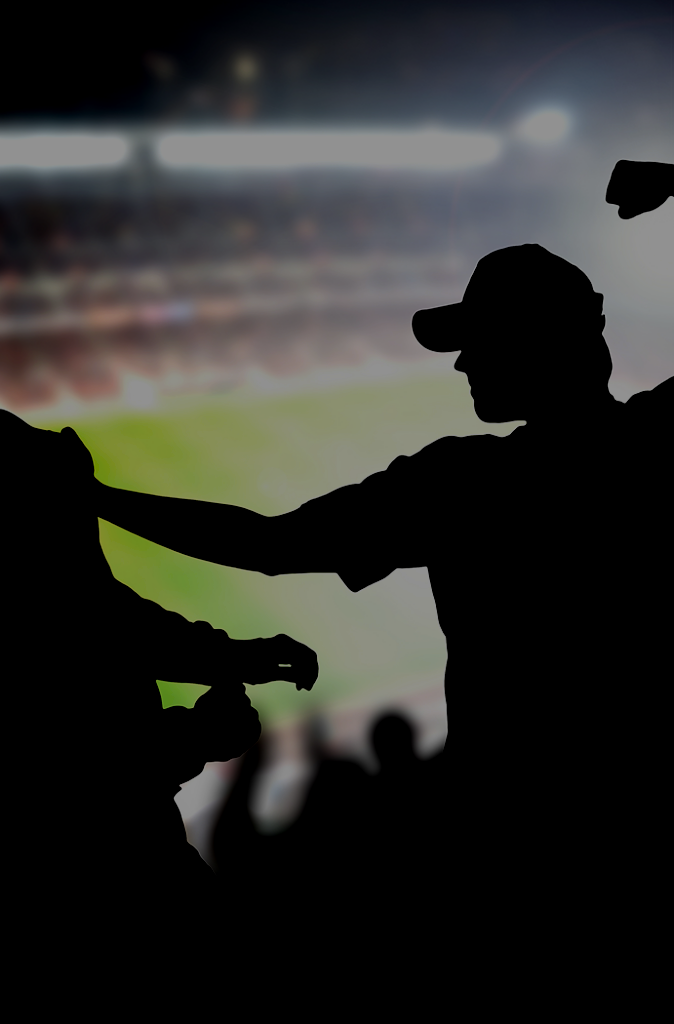 hooligans fighting in the stands at a baseball game